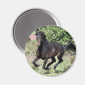 Galloping Chestnut Horse Magneet (Voorkant / Achterkant)