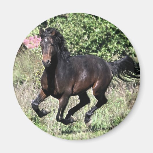 Galloping Chestnut Horse Magneet (Voorkant)