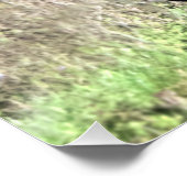 Galloping Chestnut Horse Poster (Hoek)