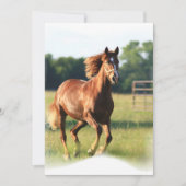 Galloping Chestnut Invitation Kaart (Voorkant)