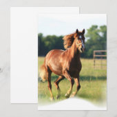 Galloping Chestnut Invitation Kaart (Voorkant / Achterkant)