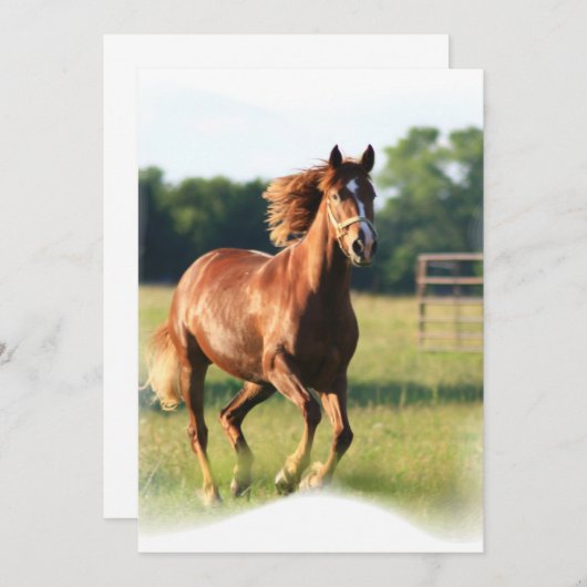 Galloping Chestnut Invitation Kaart (Voorkant / Achterkant)