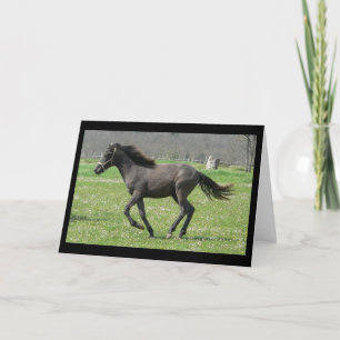 Galloping Colt-Wenskaart Kaart