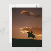 Galloping Cowboy Silhouette Briefkaart (Voorkant / Achterkant)