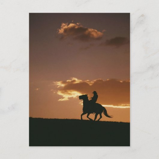 Galloping Cowboy Silhouette Briefkaart (Voorkant)