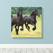 Galloping Friese Paarden Canvas Print (Insitu (Houten vloer))