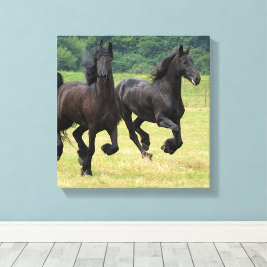 Galloping Friese Paarden Canvas Print (Insitu (Houten vloer))