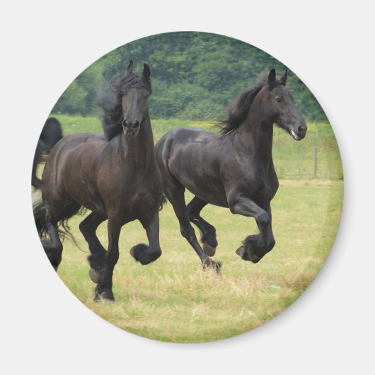Galloping Friese Paarden Magneet (Voorkant)