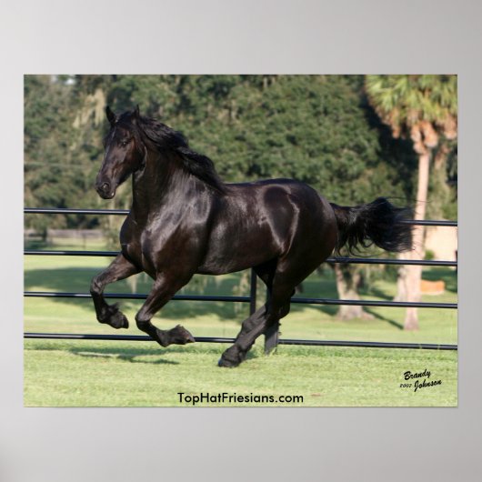 Galloping Friesian Beauty Poster (Voorkant)