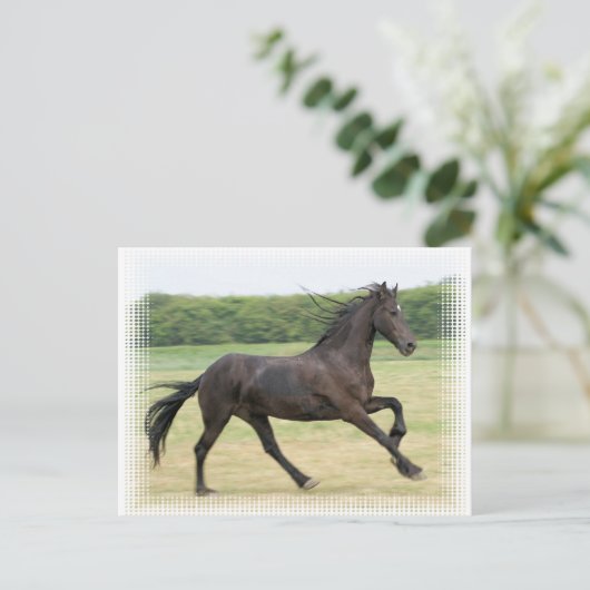 Galloping Friesian Briefkaart (Staand voorkant)