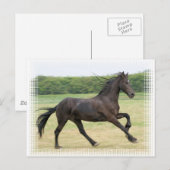 Galloping Friesian Briefkaart (Voorkant / Achterkant)