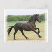 Galloping Friesian Briefkaart (Voorkant)