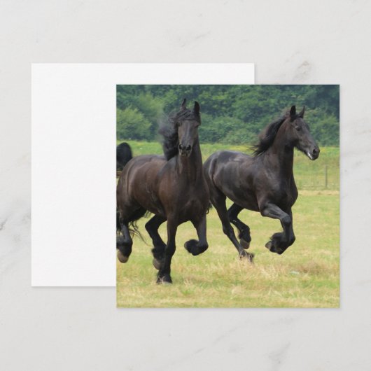 Galloping Friesian Horses Invitations Kaart (Voorkant / Achterkant)