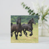 Galloping Friesian Horses Invitations Kaart (Staand voorkant)