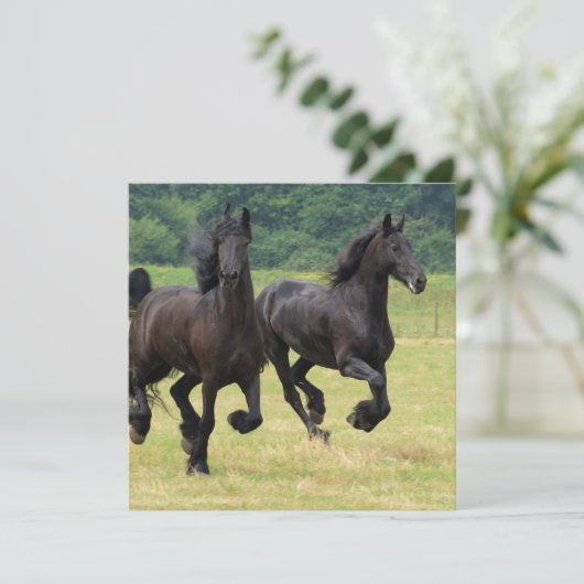 Galloping Friesian Horses Invitations Kaart (Staand voorkant)