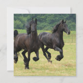 Galloping Friesian Horses Invitations Kaart (Voorkant)