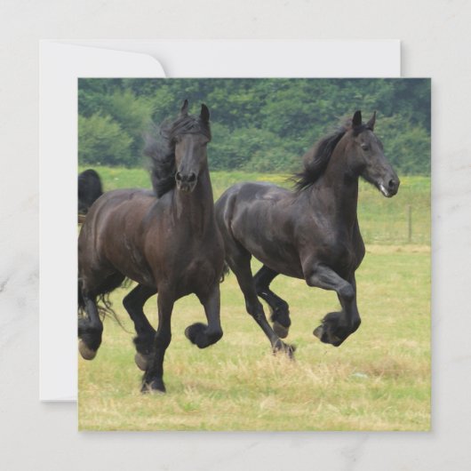 Galloping Friesian Horses Invitations Kaart (Voorkant)