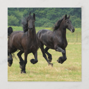 Galloping Friesian Horses Invitations Kaart