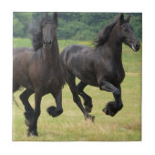 Galloping Friesian Horses Tile Tegeltje (Voorkant)