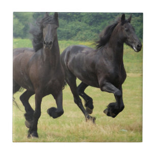 Galloping Friesian Horses Tile Tegeltje