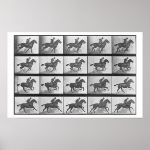 Galloping Horse, bord 628 uit 'Animal Locomotion' Poster