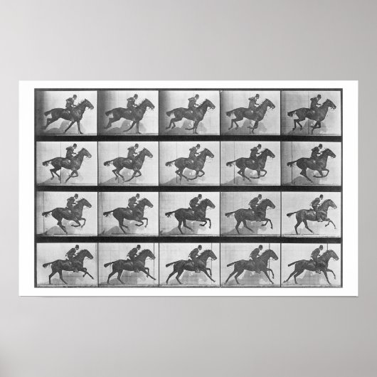 Galloping Horse, bord 628 uit 'Animal Locomotion' Poster (Voorkant)