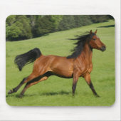 Galloping Horse Mousepad Muismat (Voorkant)