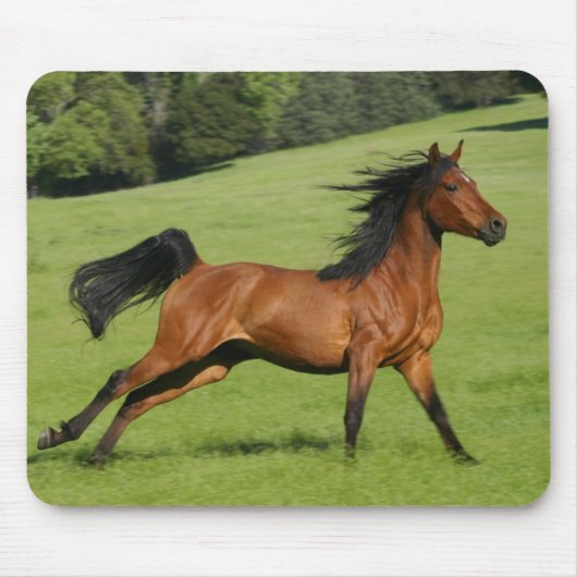 Galloping Horse Mousepad Muismat (Voorkant)