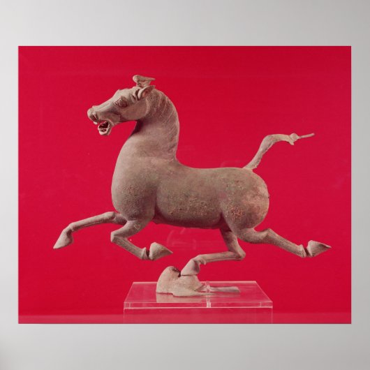 Galloping horse with one Hoof Resting on a Poster (Voorkant)