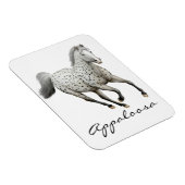 Galloping Leopard Appaloosa Paard Premium Magneet (Rechterzijde)