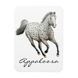 Galloping Leopard Appaloosa Paard Premium Magneet