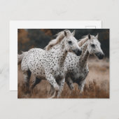 Galloping Leopard Appaloosa paarden Briefkaart (Voorkant / Achterkant)