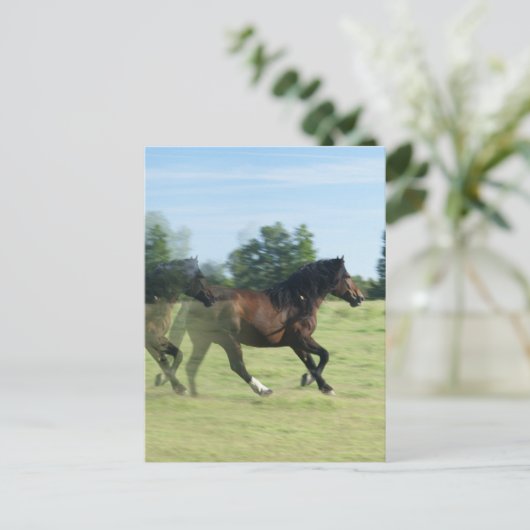 Galloping Mustangs Briefkaart (Staand voorkant)