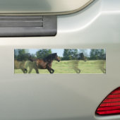 Galloping Mustangs Bumpersticker (Op auto)