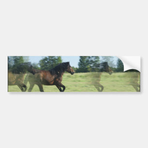 Galloping Mustangs Bumpersticker