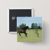 Galloping Mustangs Square Pin Vierkante Button 5,1 Cm (Voorkant /achterkant)