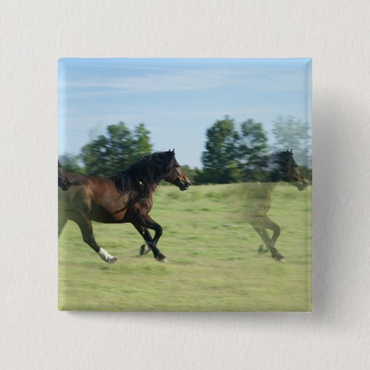 Galloping Mustangs Square Pin Vierkante Button 5,1 Cm (Voorkant)