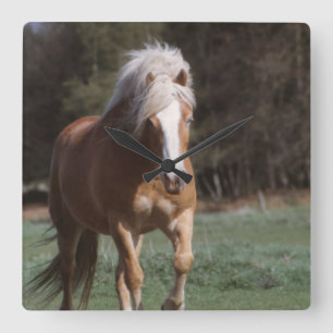 Galloping Palomino Wall Clock Vierkante Klok