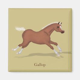 Galloping Sorrel Foal Gaits of the Horse Magneet