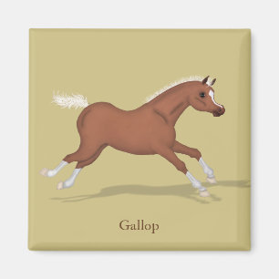 Galloping Sorrel Foal Gaits of the Horse Magneet