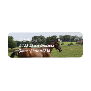 Galloping Thoroughbred Mailing Labels