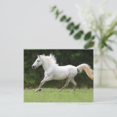 Galloping White Horse Briefkaart (Staand voorkant)