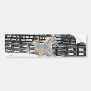 Galloping White Horse Bumpersticker