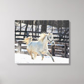 Galloping White Horse Canvas Afdruk (Voorkant)