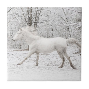 Galloping White Horse in the Snow Tegeltje