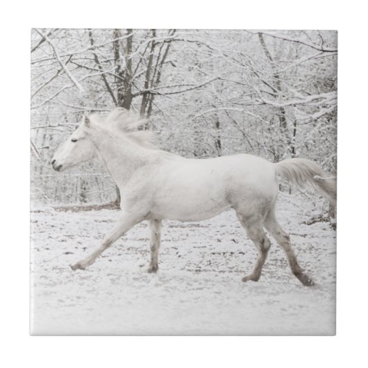 Galloping White Horse in the Snow Tegeltje (Voorkant)