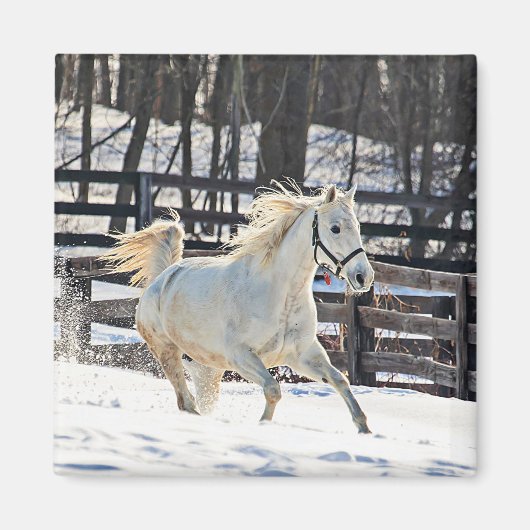 Galloping White Horse Magneet (Voorkant)