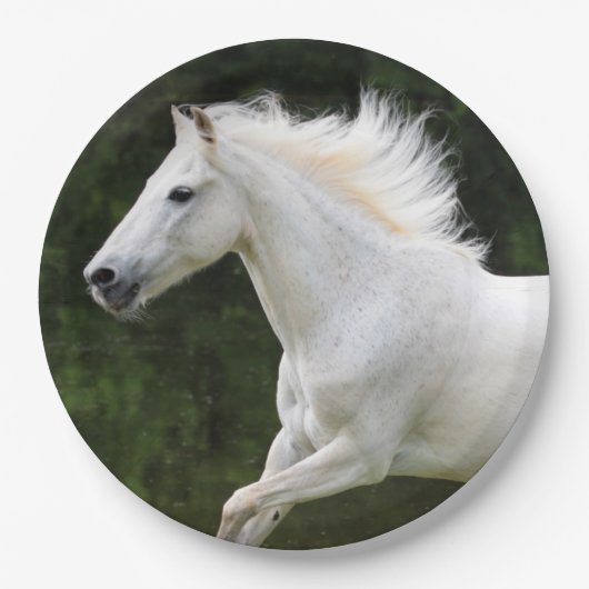 Galloping White Horse Papieren Bordje (Voorkant)