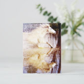 Galloping White Water Horse Briefkaart (Staand voorkant)