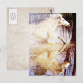 Galloping White Water Horse Briefkaart (Voorkant / Achterkant)